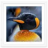 King Penguin Close Up In Snowfall thumbnail