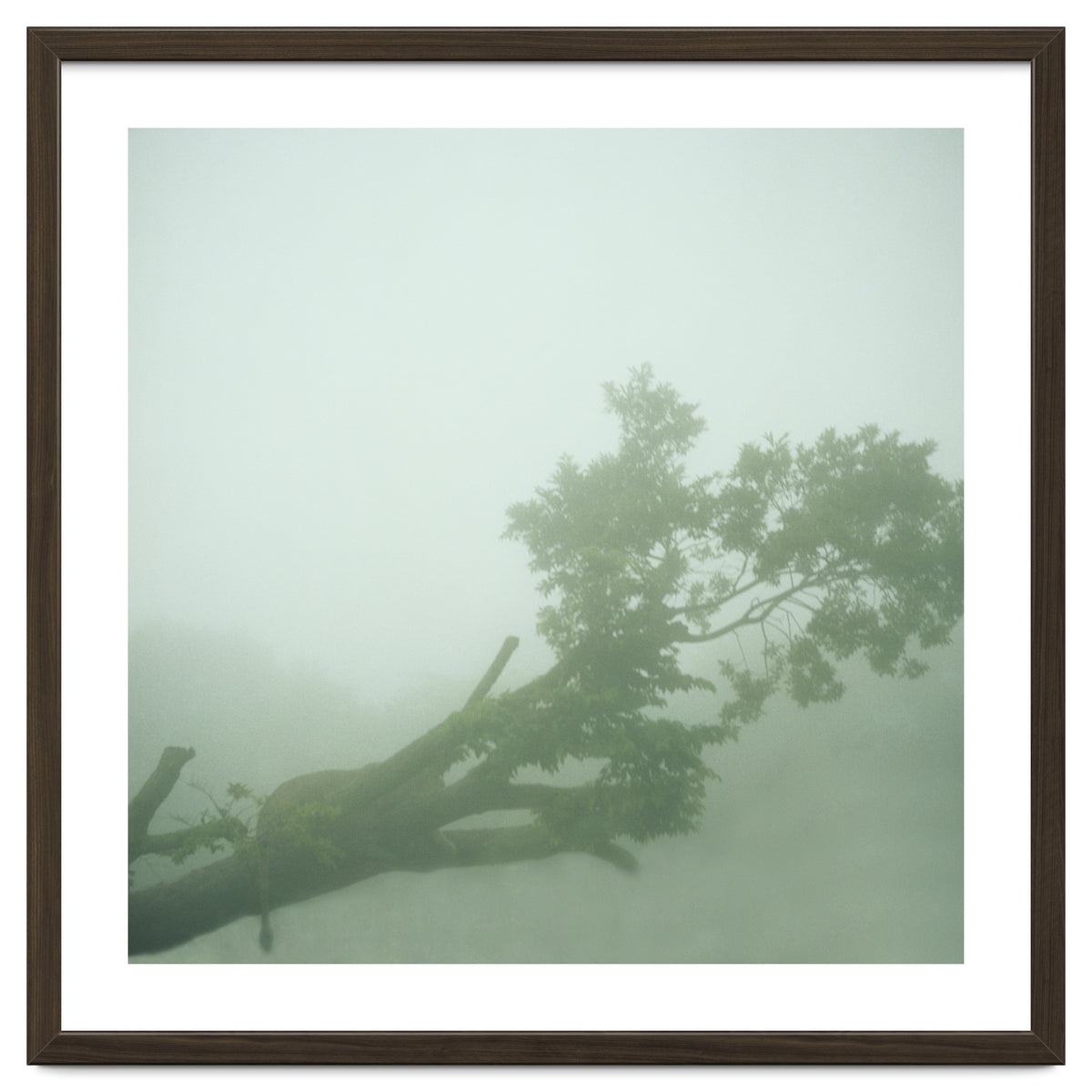 Silence of breath - 07