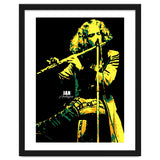 Ian Anderson Musician Legend thumbnail