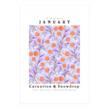 Carnations And Snowdrop January Birth Flower Floral Print (Print Only) thumbnail