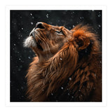 Lion Looking Up In The Snow Majestic (Print Only) thumbnail