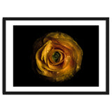 Backyard Flowers No 72 Color Version thumbnail