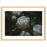 Dark Paradise thumbnail