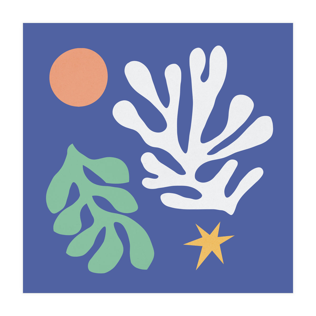 Floral matisse 2 (Print Only)