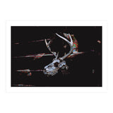 Deer Skull (Print Only) thumbnail