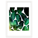 Cosmic Banana Leaves thumbnail