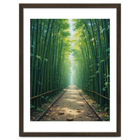 The Emerald Path: A Sun-Drenched Journey