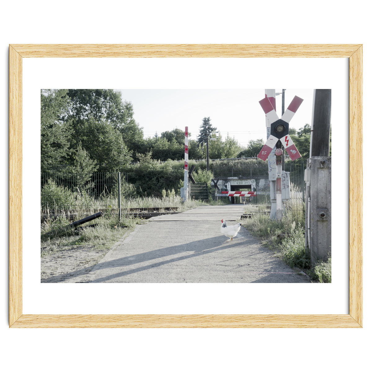A chicken crossing a railroad
