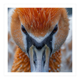 Close Up Of A Pelican's Beak With Water Droplets (Print Only) thumbnail