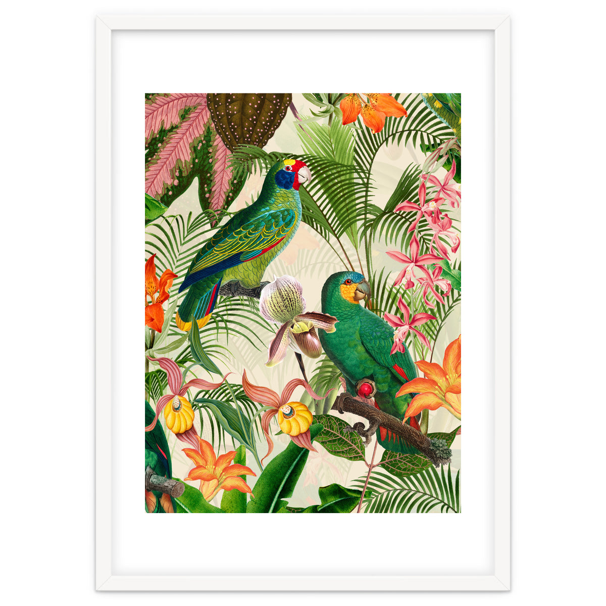 Parrots in tropical Jungle