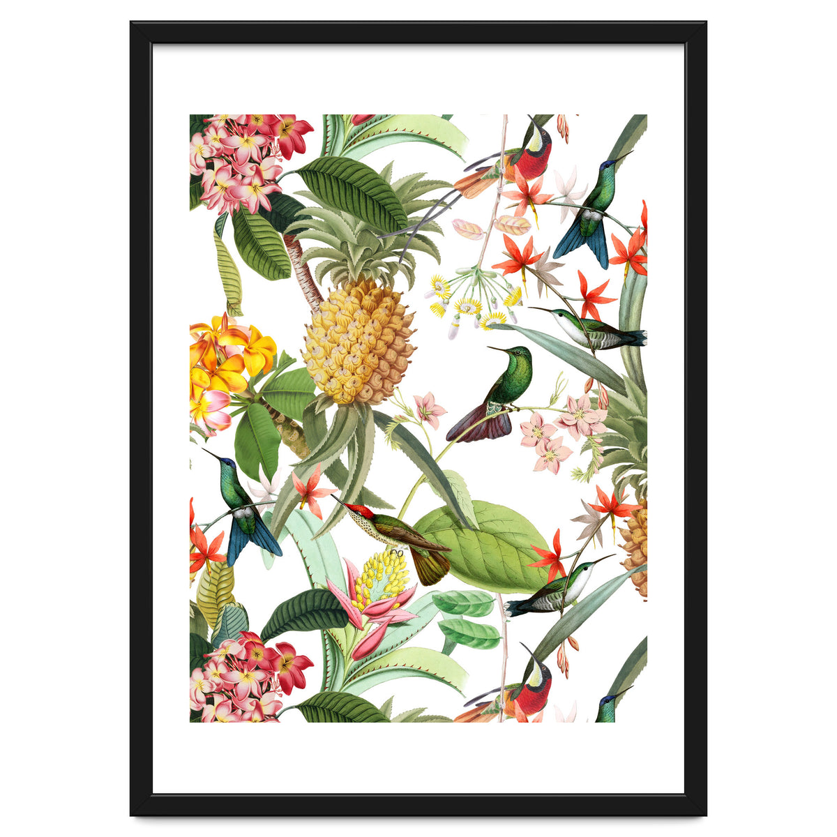 Hummingbirds in tropical Jungle