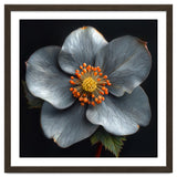 Hellebore | Silver Magic thumbnail