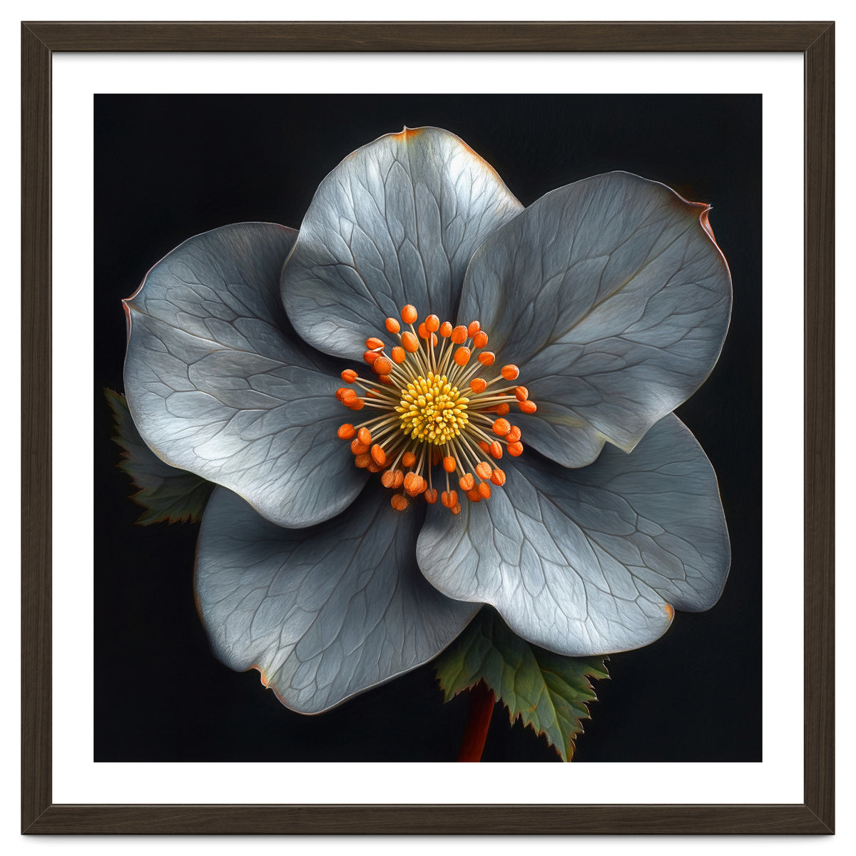 Hellebore | Silver Magic