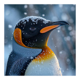 King Penguin Close Up In Snowy Environment (Print Only) thumbnail