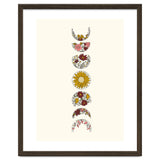 Floral Phases Of The Moon thumbnail