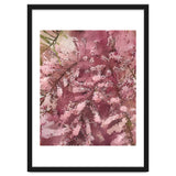 Pink Blossom thumbnail