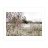 Abandoned Sofa in the middle of nowhere (Print Only) thumbnail