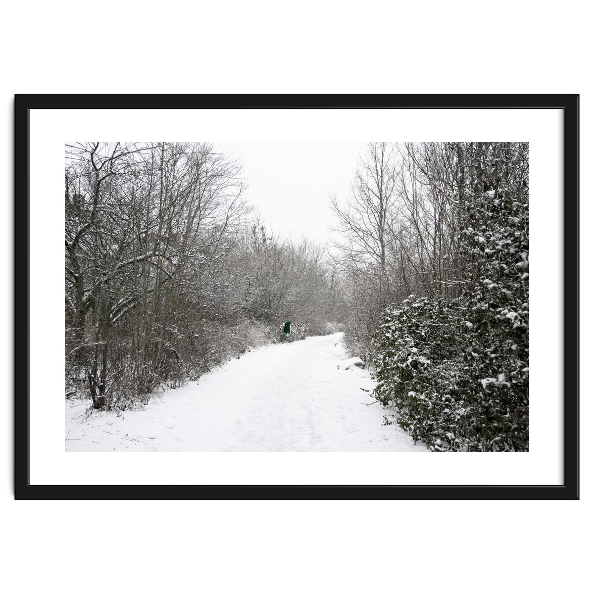 Walking through the snow park