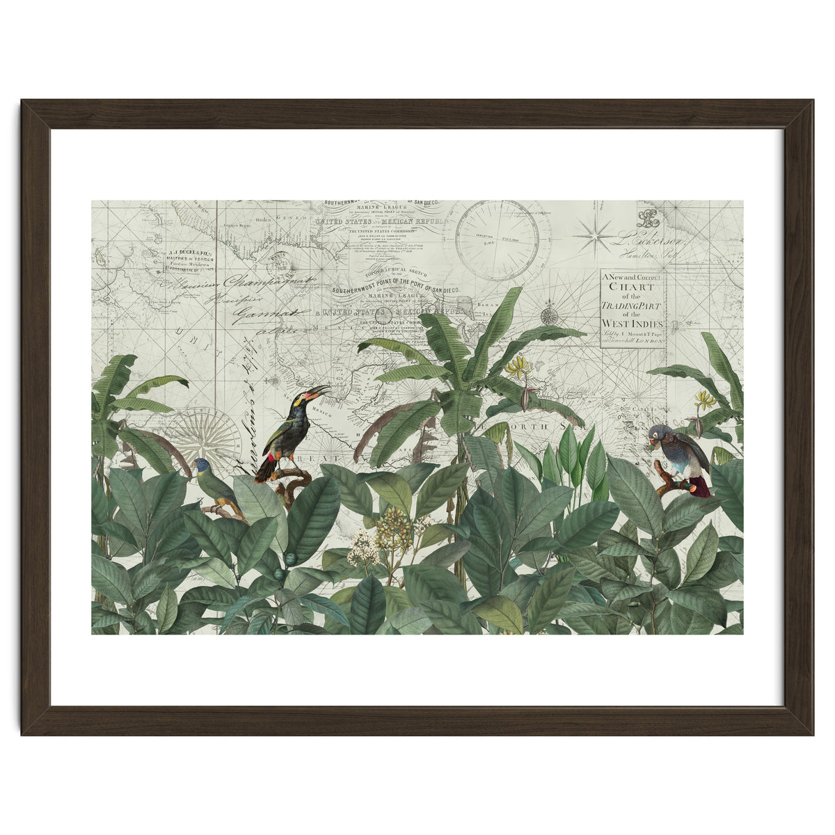 Explore The New World