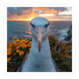 Albatross Bird With Intense Gaze By The Sea (Print Only) thumbnail