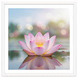 Ethereal Lotus Bloom: Serene Botanical Reflection thumbnail