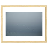 Flying Segulls in thet winter sky thumbnail