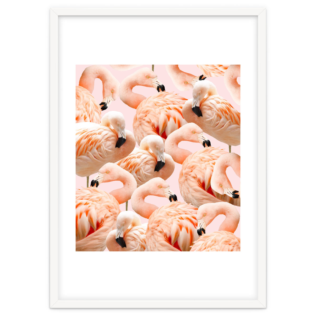 Flamingo Blush #society6 #decor #buyart #flamingoart