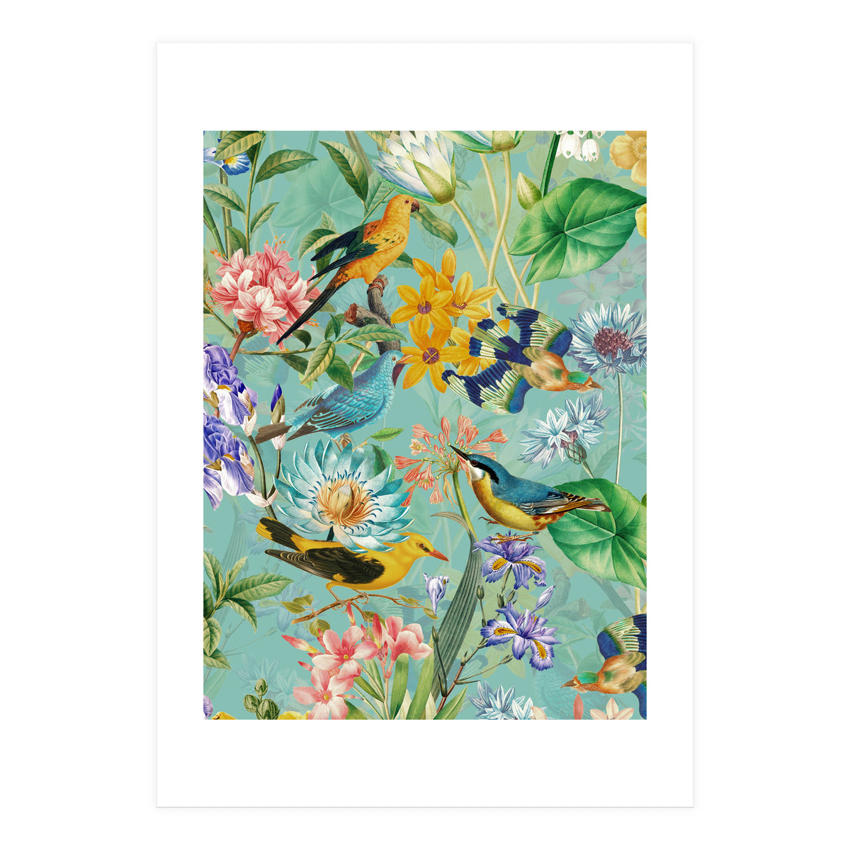 Birds In Tropical Jungle  (Print Only)