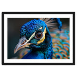 Close Up Of A Peacock Head And Eye thumbnail