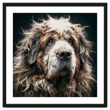 Old Dog 01 thumbnail