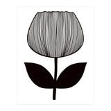Tulip (Print Only) thumbnail