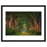 Soft morning light thumbnail