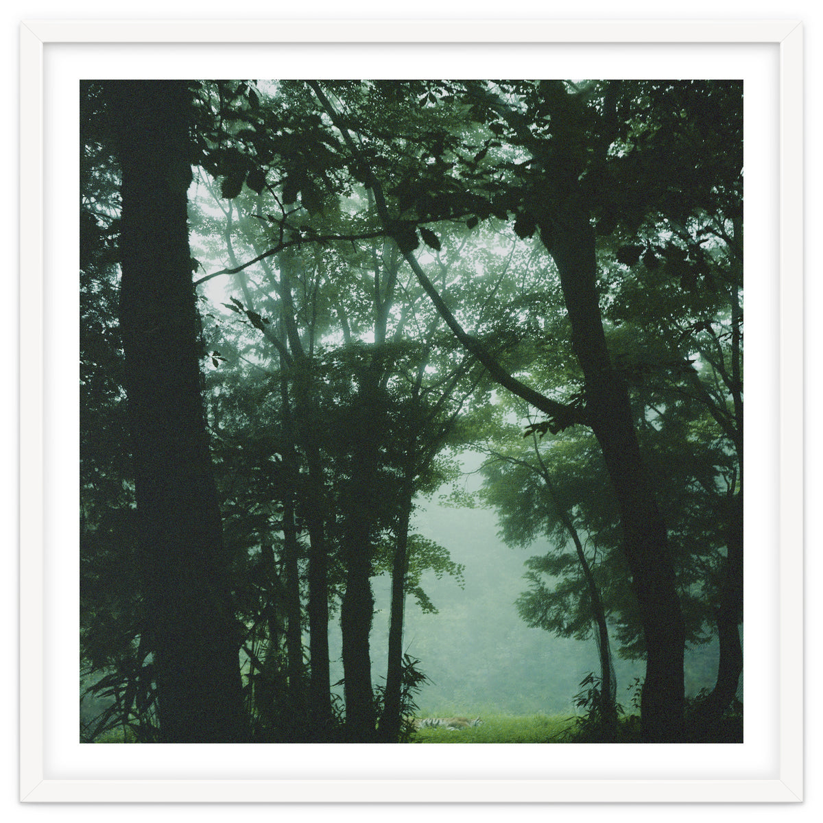 Silence of breath - 13