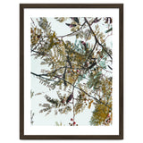 Patterns In Nature thumbnail