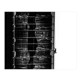 Window Washing No 4 (Print Only) thumbnail