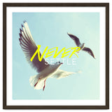 Never Settle thumbnail