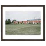 Red roof houses in the green field thumbnail