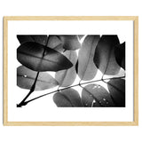 Branches and Leaves, 2016, 3 thumbnail