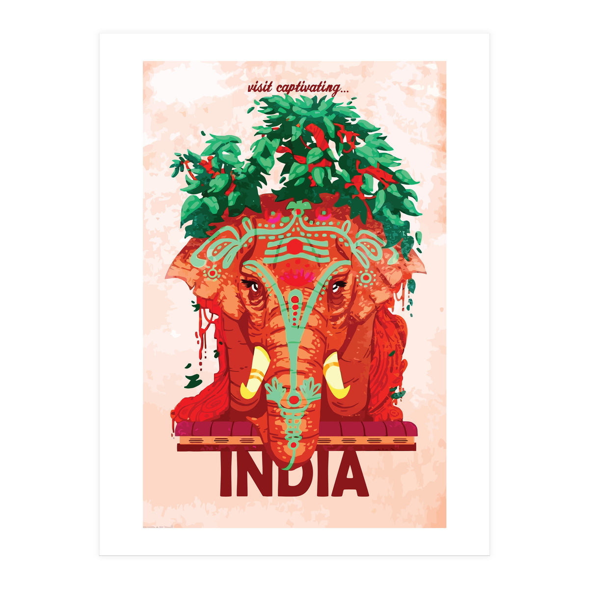 Captivating India (Print Only)