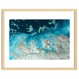 The Oasis thumbnail