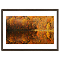 Autumn Reflections