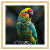 Vibrant Amazon Parrot Perched On A Branch thumbnail