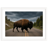 Bison on the Road , Yellowstone Wildlife Photography thumbnail