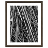Black Tectorius Plant Shoots Art thumbnail