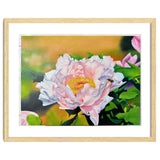 peony thumbnail