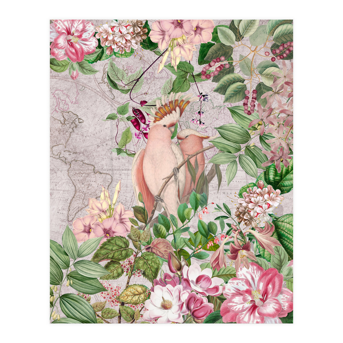 Parrot Exotic Jungle  (Print Only)