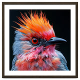 Close Up Of Exotic Bird With Vibrant Plumage thumbnail