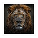 Majestic Lion With Glowing Eyes Close Up Portrait (Print Only) thumbnail