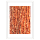Tree Bark thumbnail