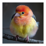 Beautiful Bird With Vibrant Orange And Yellow Plumage (Print Only) thumbnail